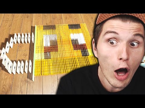 Der Paluten DOMINO Simulator