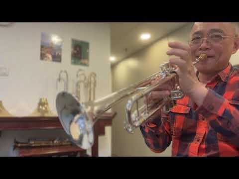 Bach 180S37 Trumpet - valve repairs and full adjustments