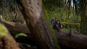 "Grimm" Pilot (TV Episode 2011)