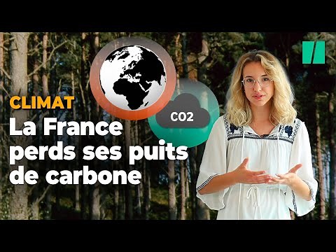 Pourquoi le Haut Conseil pour Climat pointe du doigt les puits de carbone ?