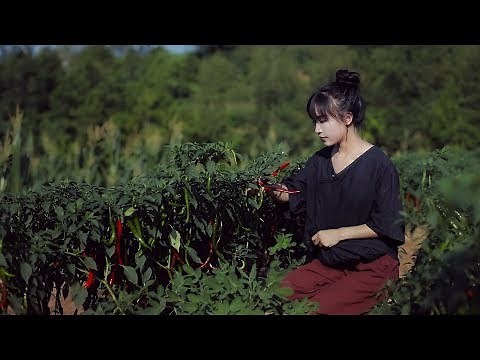 What defines Sichuan cuisine—spicy bean paste 香喷喷、火辣辣、让人垂涎三尺的川菜之魂----豆瓣酱 | Liziqi Channel