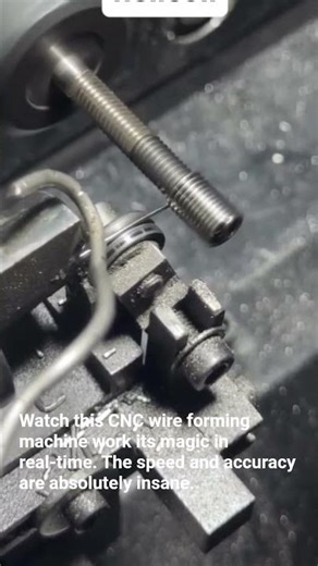 Pure Precision: High-Speed Wire Forming