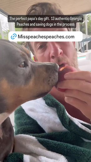 Authentic Georgia Peaches for Papa's Day Gift