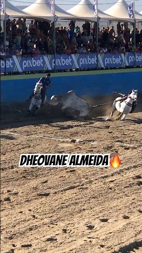 Vaqueiro Dheovane Almeida arena pix bet #vaquejada #arenapixbet