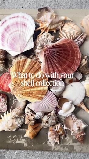 Adorable Seashell DIY for Coastal Home Decor