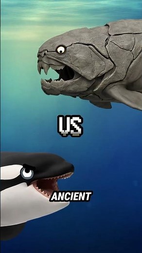 Could This Ancient Predator Kill an Orca?