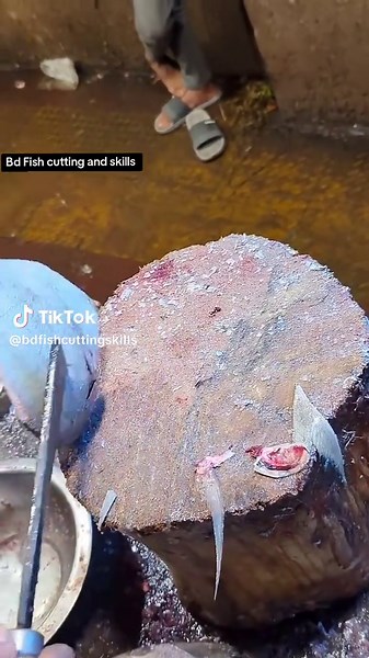 Masterful Tuna Fish Cutting Techniques