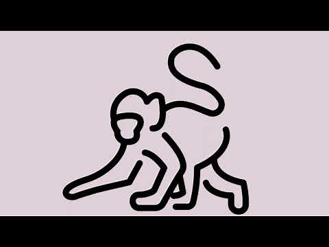 MONKEY EMOJI MEANING, MONKEY EMOJI #monkey #playfulness #silliness #monkeys #monkeylove #dancemonkey