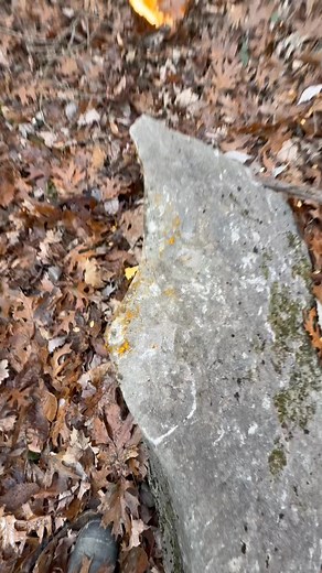 PUMPKINS SMASHED! 🧡 | Tracy Moser