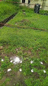 22K views · 265 reactions | The mixing of large amounts of hydrated...