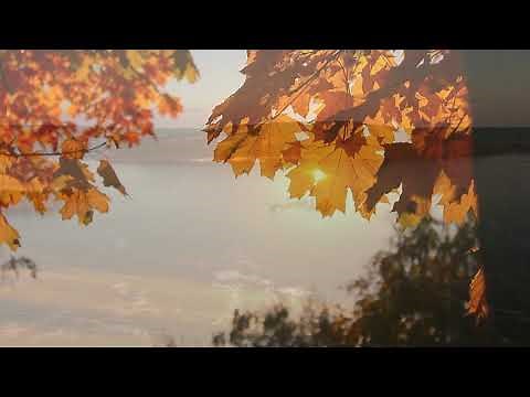 A Meditation on Peace