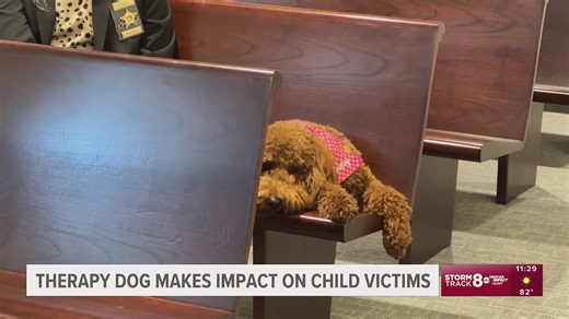 Therapy dogs making an impact for children who are victims of abuse, neglect