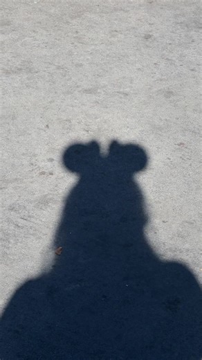 A Day at Magic Kingdom: Fun and Adventures