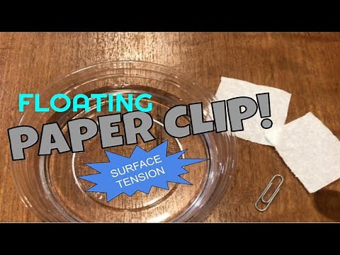 Floating Paper Clip (Surface tension) Experiment