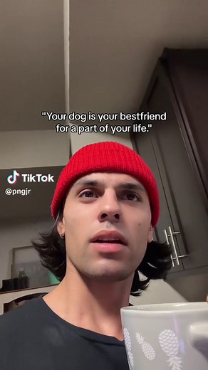 hug your dog rn #fyp | dogs