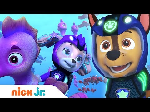PAW Patrol Aqua Pups Stop Moby & the Whale Patroller! w/ Chase, Zuma & Skye | Nick Jr.