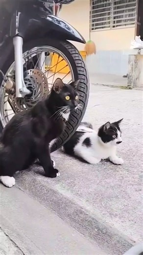 Becky Measures (@becky.measures)’s videos with original sound - Becky Measures