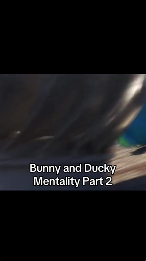 Bunny and Ducky: Exploring Mentality in Toy Story 4