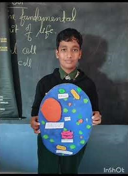 Animal & Plant Cell Activity -Grade 8, Science