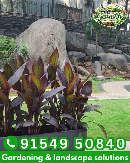 Modern Vertical Garden Design | Green Wall Installation | Gardening & Landscape Solutions