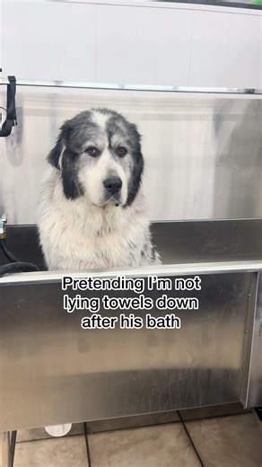 Did it once, gotta do it always #ritchiethepyr | ritchie