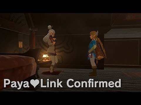 Paya's Diary and Birthmark (Zelda Breath of the Wild)