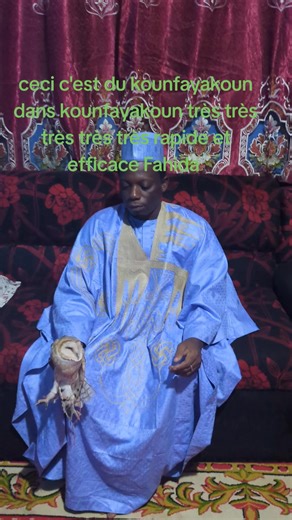 Cherif fayssal ben Abdallah (@cherif_fayssal)’s videos with son original - Cherif fayssal ben Abdallah