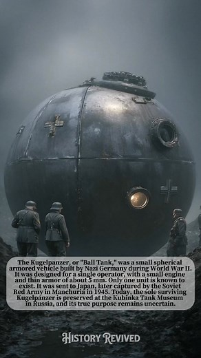 291K views · 1.5K reactions | A Nazi mystery more bizarre than any sci-fi—one lone ‘Ball Tank’ rolled out in WWII, survived the USSR, and now sits in a Russian museum with its true purpose still unknown. #WWIITanks #KugelpanzerMystery #MilitaryOddities #TankMuseum #ForgottenWeapons | History Revived | Facebook