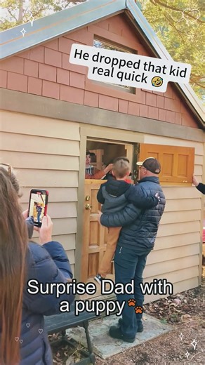 Surprise Gift: Puppy Joy
