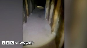 米・メキシコ国境で密輸トンネル発見　照明や換気設備も - BBCニュース