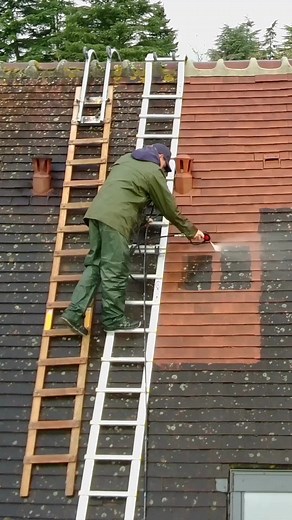 Nettoyage de toiture avec mousse active naturelle