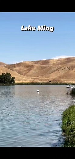 Random drag racing clips from the @njba racing 2023 season. See you in Mid September �� #njba #njbaracing #dragboats #dragboatracing #vdrive #pgf #transomtuesday #horsepower #lakeming #flatbottom @socaljetboats @visitbakersfield @sb.mag @westcoast_river outlaws ������������������ | Drag Boat Racing USA
