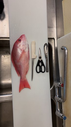 1.2M views · 10K reactions | Butterflied Red Snapper. What would you stuff it with!? #redsnapper #homecook #homecooking | Reed_thefishmonger | Facebook