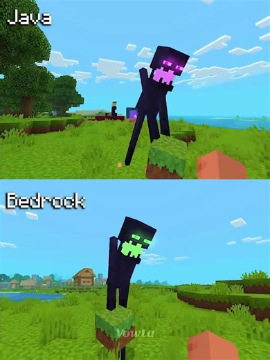 Minecraft Actions and Stuff Java vs Bedrock Part 38