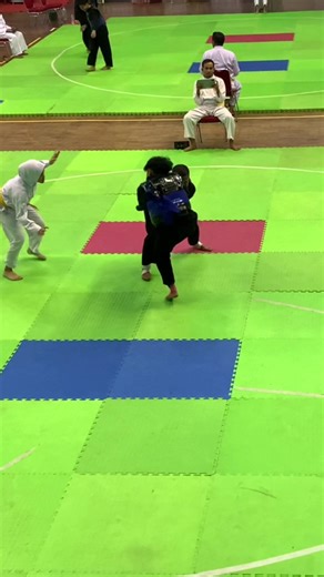 Bangkit Lagi: Semangat Melalui Pencak Silat