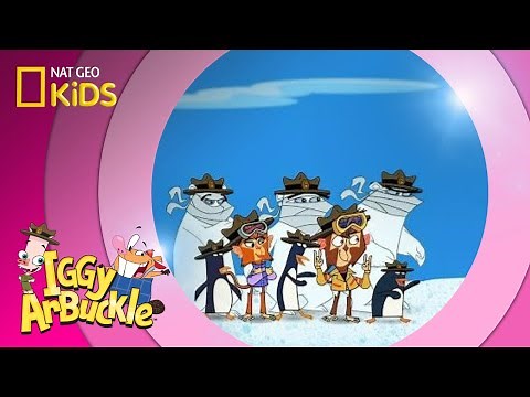 Xtreme Iggy | Iggy Arbuckle