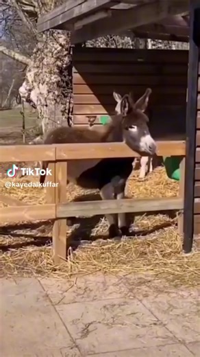 Flip the switch on your career! KnowBe4 is hiring. View our open positions and join our incredible team! 🧡 #LinkInBio #werehiring #corporatehumor #techjobs