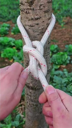 Easy to use figure eight lock knot tying method