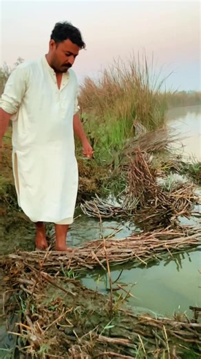 Catching Big Fish: Tips and Tricks