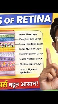 ✅Boost Your University Marks with the Retina Mnemonic 🎓📚✨|| #easytricks #medicalschoolcommunity