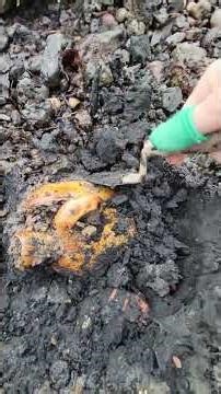 omg incredible find Mudlarking the River Thames Best Finds #metaldetecting #Mudlarking #treasure