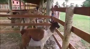 2K views · 14 reactions | Splash Park fica no munipio do Rio de...