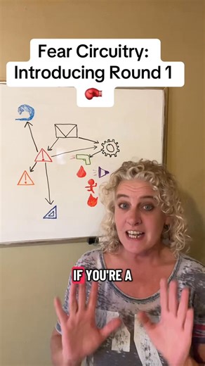 Fear Circuitry: Introducing Round 1 #cptsd #PTSD #neurobiology #traumainformed #mentalhealthmatters #Amygdala #HPA #childhoodtraumasurvivor | Defeating Childhood Trauma