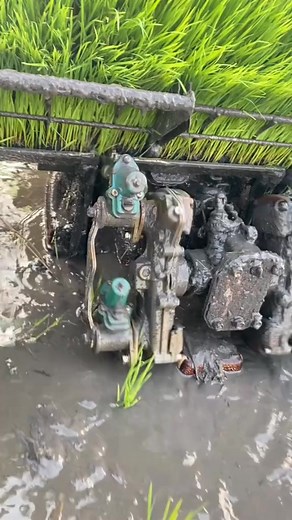 Inovasi Mesin Tanam Padi Solusi Modern untuk Pertanian Efisien dan Produktif | Petani modern