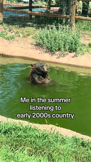Summer Vibes: Cute Bear Moments with 2000s Country Music