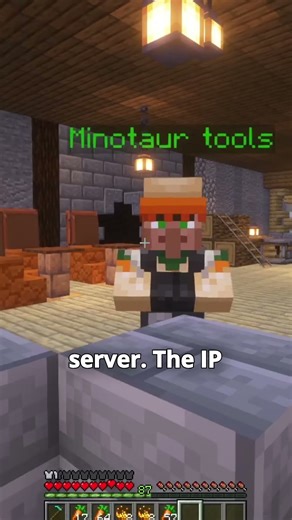 Best Minecraft Survival Server for Java and Bedrock Edition #minecraft