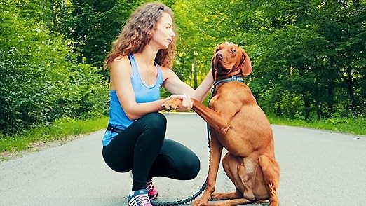 a778e63697d14233b2089211971effba