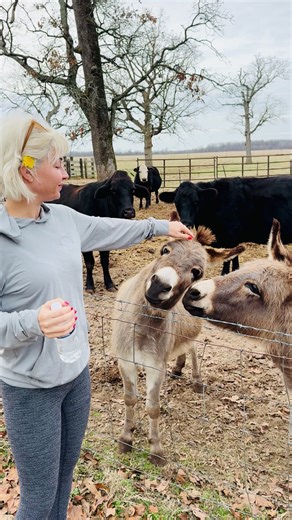 17K views · 585 reactions | A very Merry Christmas from the farm. #christmassong #thechristmassong #christmassongs #donkey #christmas #singing | Maggie Rose | Facebook