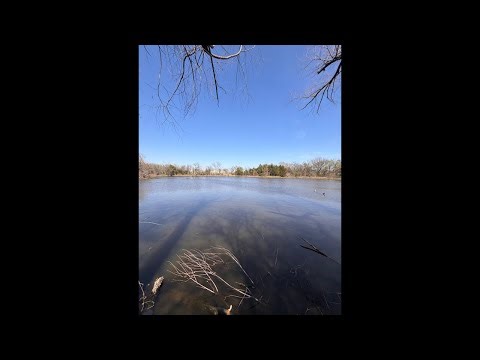 Only Fishing With Frozen Shrimp!
