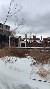 What's the magic behind this winter wonderland in the sky? It's not just the fluffy, picturesque snow—it's the power and diligence of the Friends of the High Line staff! After a full day of snow and ice removal following this weekend's winter storm, the High Line is now open to the public from 23rd Street to the Hudson Yards gate at 30th Street. In order to protect the park's plants, we do not salt our paths and rely solely on the use of snow shovels, snow brooms, and motorized snow blowers to c